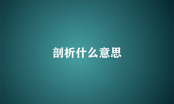 剖析什么意思