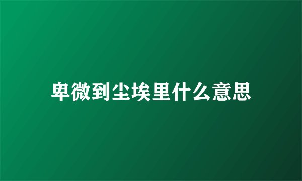 卑微到尘埃里什么意思