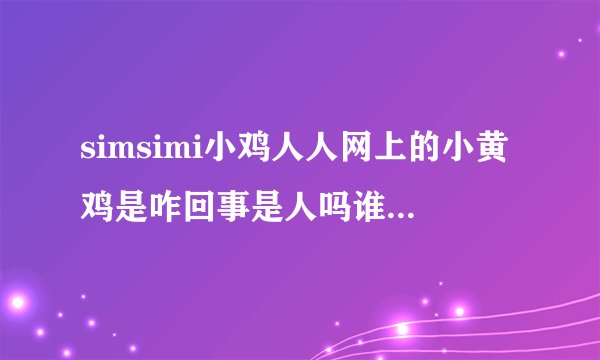 simsimi小鸡人人网上的小黄鸡是咋回事是人吗谁经营的啊目的是啥啊不过