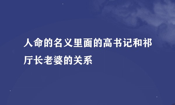 人命的名义里面的高书记和祁厅长老婆的关系