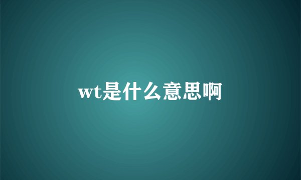 wt是什么意思啊
