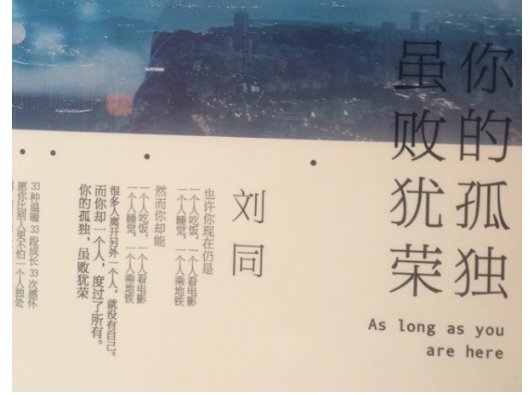 你的孤独虽败犹荣的内容简介