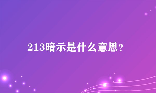 213暗示是什么意思？
