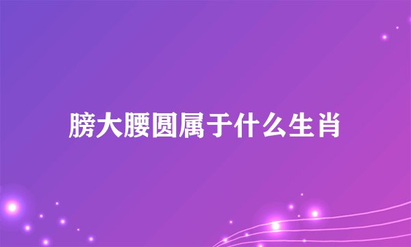 膀大腰圆属于什么生肖