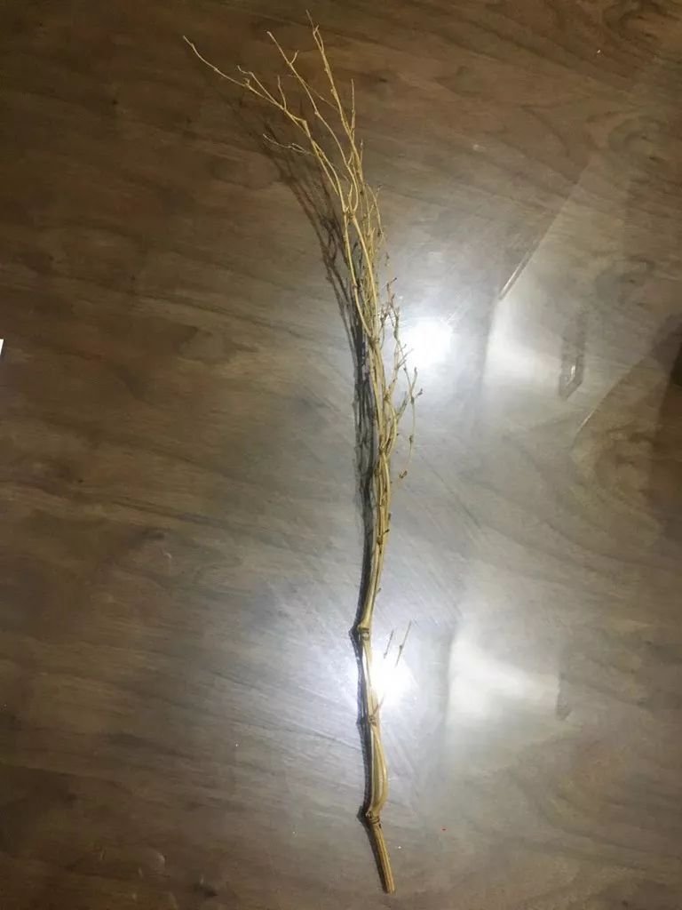 二胎夫妻分工表是怎样的?