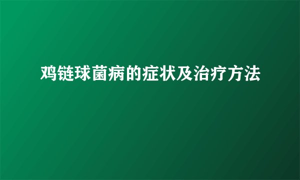 鸡链球菌病的症状及治疗方法