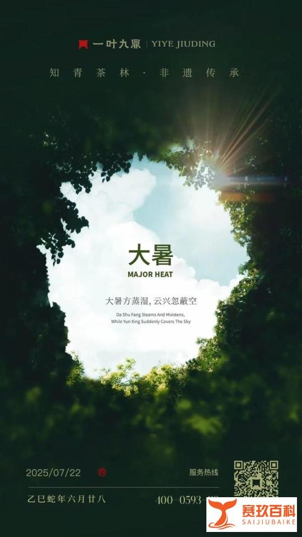 在合肥，藏着一间能喝到岁月滋味的老茶会客厅