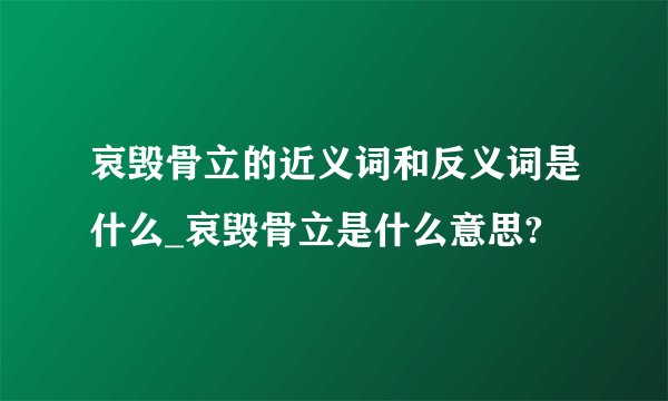 哀毁骨立的近义词和反义词是什么_哀毁骨立是什么意思?