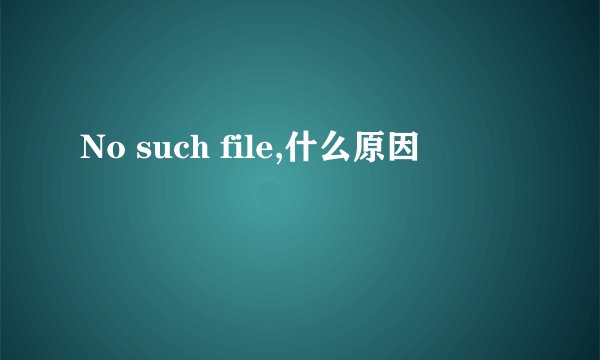 No such file,什么原因