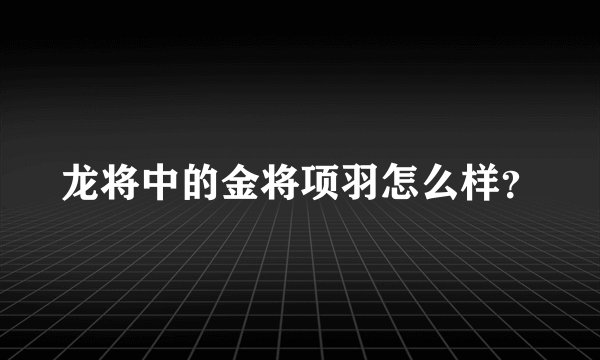 龙将中的金将项羽怎么样?