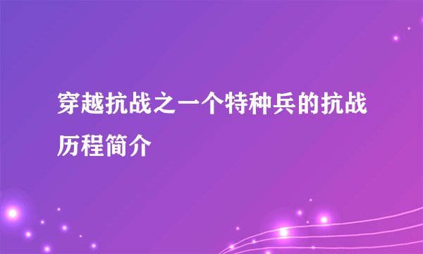 穿越抗战之一个特种兵的抗战历程简介