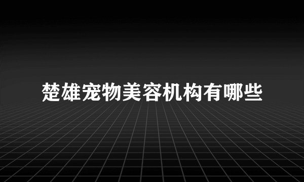 楚雄宠物美容机构有哪些