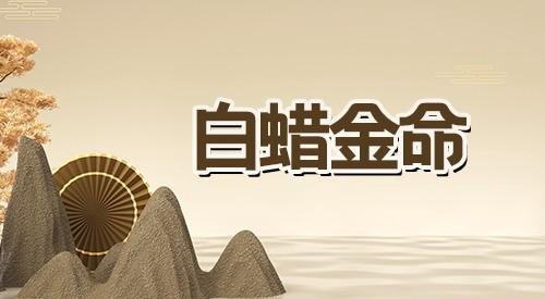 白蜡金男和白蜡金女配吗？