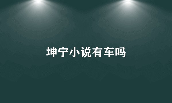 坤宁小说有车吗