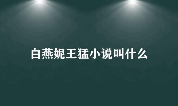 白燕妮王猛小说叫什么
