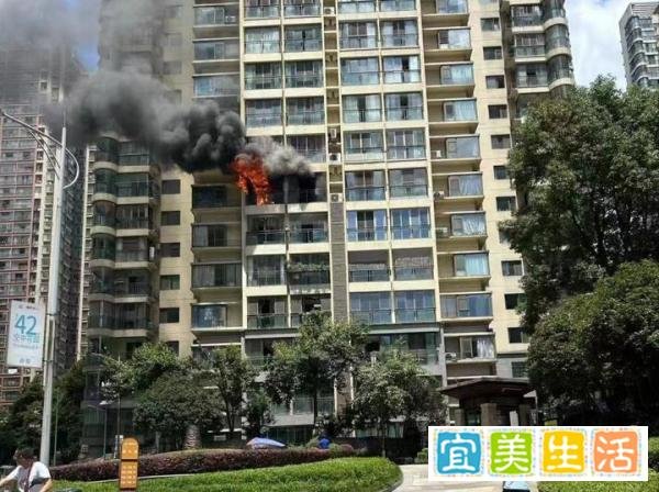 广东一美容店发生火灾，电气故障再度成“元凶”