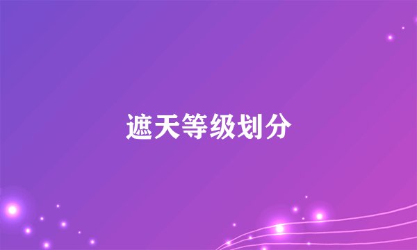 遮天等级划分