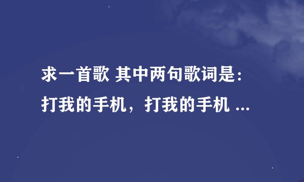 求一首歌 其中两句歌词是：打我的手机，打我的手机 是什么歌？