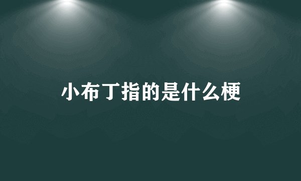 小布丁指的是什么梗