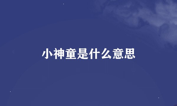 小神童是什么意思