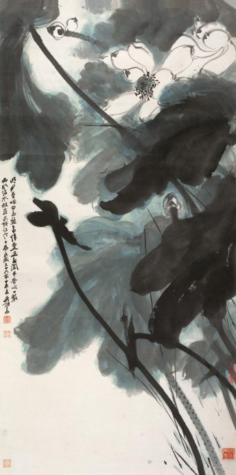 出水芙蓉的作者简介