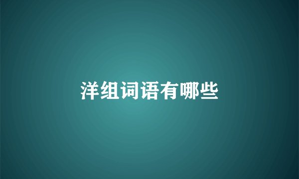 洋组词语有哪些