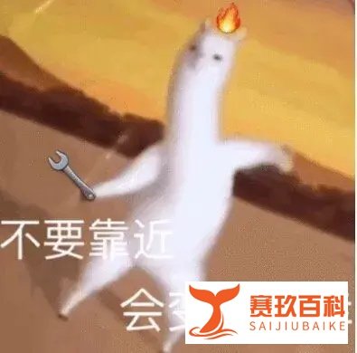 关于意大利那些奇奇怪怪的风俗习惯，这几个留学生一定要知道！