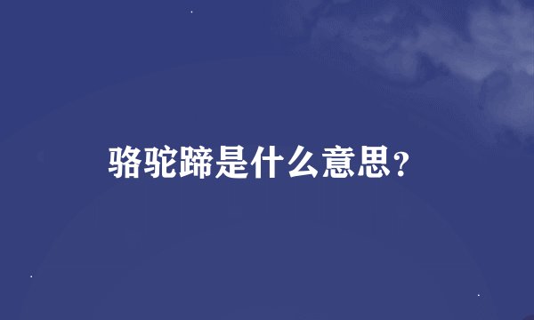 骆驼蹄是什么意思？