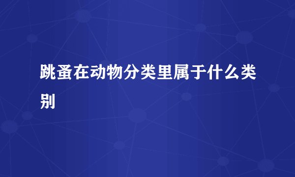 跳蚤在动物分类里属于什么类别