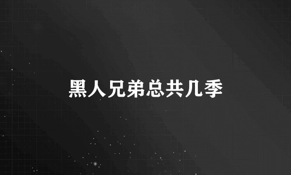 黑人兄弟总共几季
