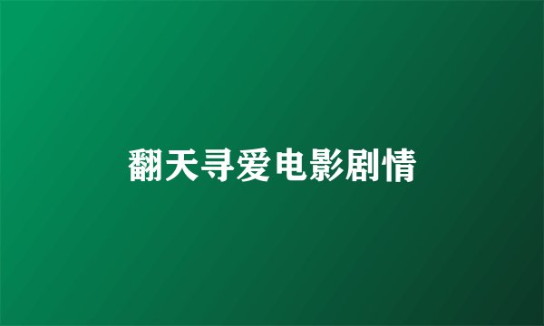 翻天寻爱电影剧情