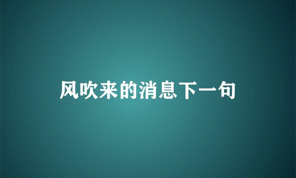 风吹来的消息下一句