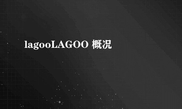 lagooLAGOO 概况