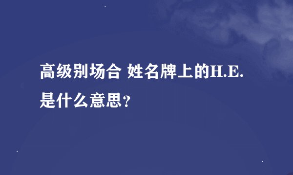 高级别场合 姓名牌上的H.E.是什么意思？