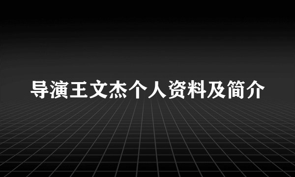导演王文杰个人资料及简介