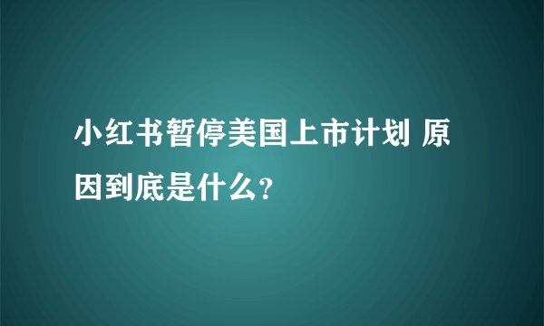小红书暂停美国上市计划 原因到底是什么？