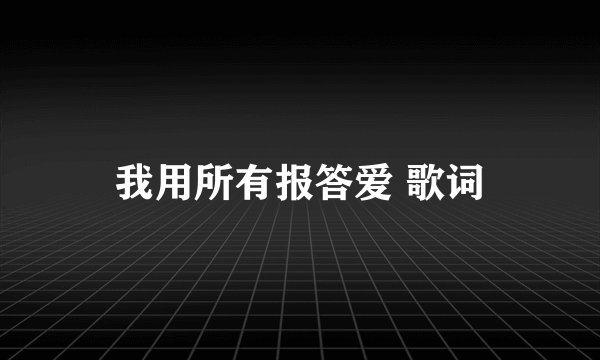 我用所有报答爱 歌词