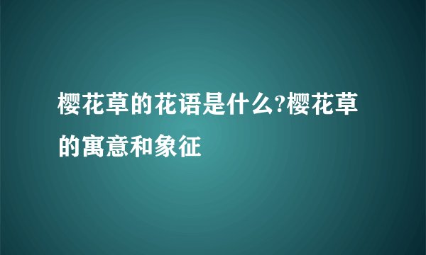 樱花草的花语是什么?樱花草的寓意和象征