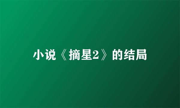 小说《摘星2》的结局