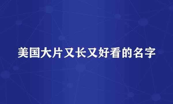 美国大片又长又好看的名字