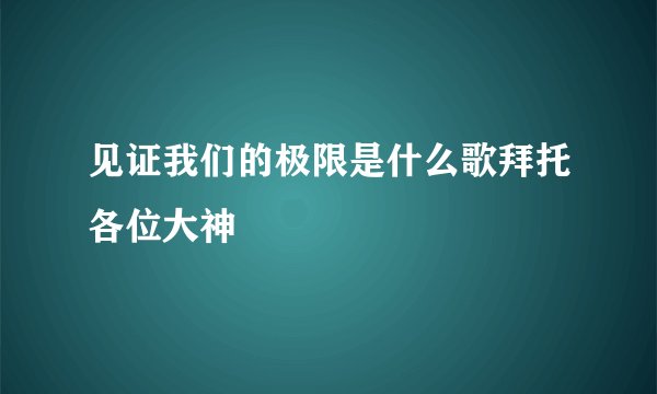 见证我们的极限是什么歌拜托各位大神