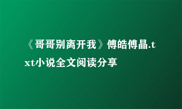 《哥哥别离开我》傅皓傅晶.txt小说全文阅读分享