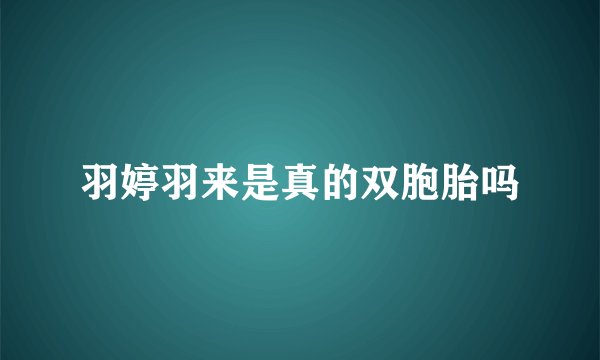 羽婷羽来是真的双胞胎吗