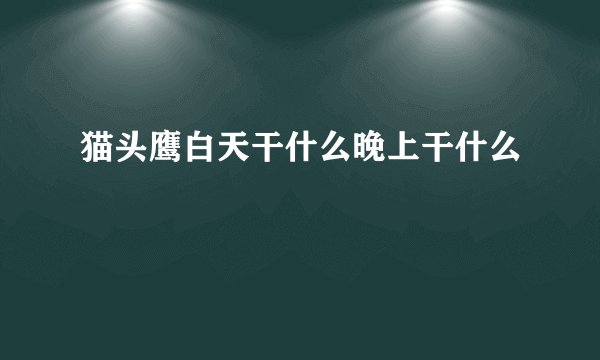 猫头鹰白天干什么晚上干什么