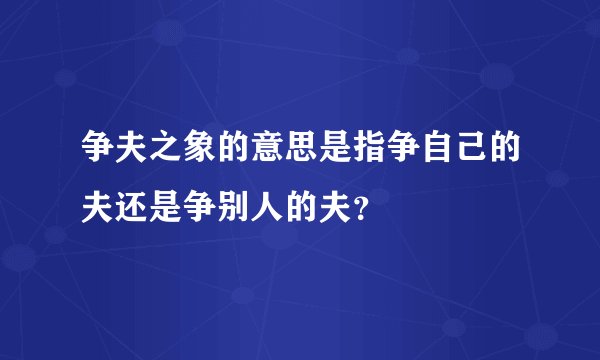 争夫之象的意思是指争自己的夫还是争别人的夫？