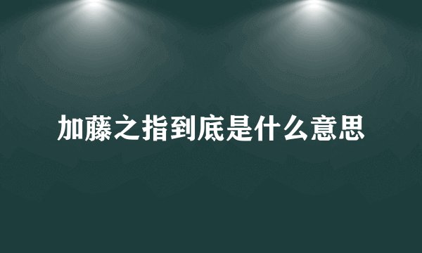加藤之指到底是什么意思
