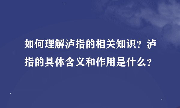 如何理解泸指的相关知识?泸指的具体含义和作用是什么?