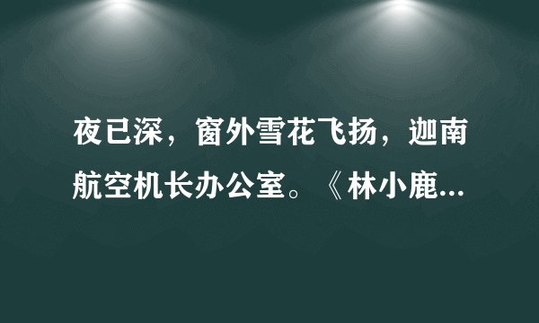 夜已深,窗外雪花飞扬,迦南航空机长办公室。《林小鹿 季曜珉》 机长和副机长的揪心虐恋