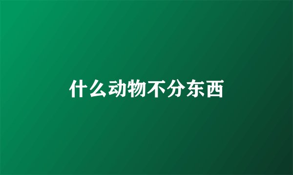 什么动物不分东西