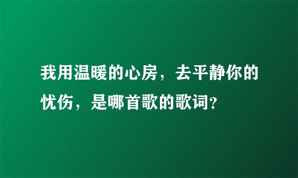 我用温暖的心房，去平静你的忧伤，是哪首歌的歌词？